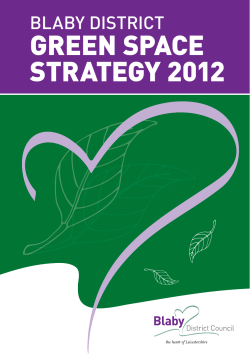 47208 BLABY Green Space Strategy Summary.indd