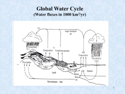 Global Water Cycle (Water fluxes in 1000 km3/yr)
