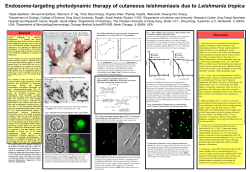 Endosome-targeting photodynamic therapy of cutaneous