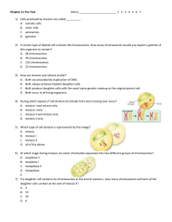 Chapter 11 Pre-Test