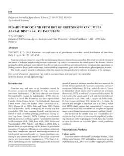 fusarium root and stem rot of greenhouse cucumber