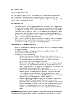 The Carbon Cycle, Nitrogen Cycle and Its Effects on the Ecosystem