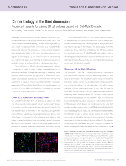 Fluorescent Reagents for Staining 3D Cell Cultures Created With