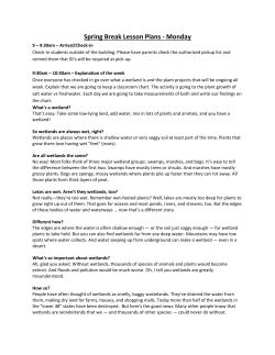 File - Sturgeon City