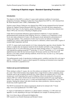 Culturing of Daphnia magna - Standard