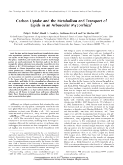 Carbon Uptake and the Metabolism and