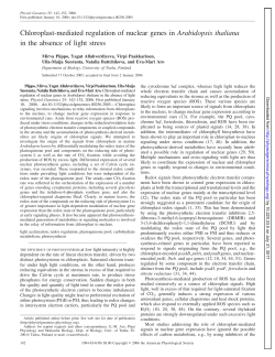 Chloroplast-mediated regulation of nuclear genes in Arabidopsis