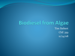 Biodiesel from Algae
