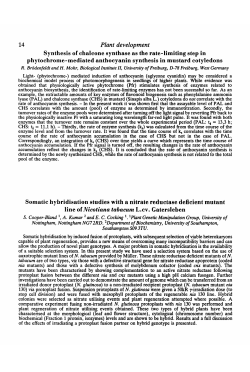 14 Plant development Synthesis of chalcone synthase as the rate