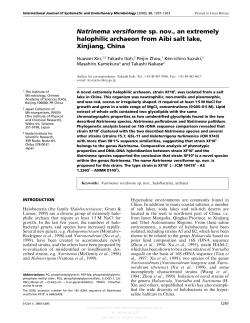 Natrinema versiforme sp. nov., an extremely halophilic archaeon