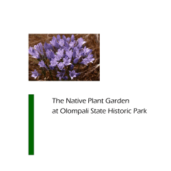 Plant signs for Olompali Web site.pub