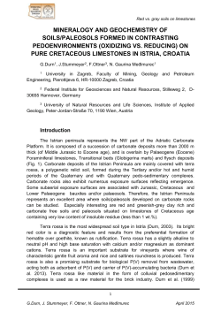 Mineralogy and geochemistry of soils/paleosols formed in