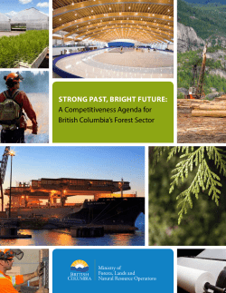 A Competitiveness Agenda for British Columbia`s Forest Sector