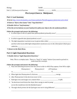 Photosynthesis WebQuest Part 1: Leaf Anatomy