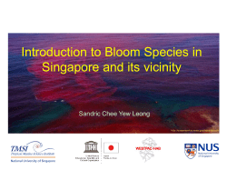 Introduction to Bloom Species in Singapore and its