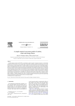 A simple tropical ecosystem model of carbon, water and energy fluxes