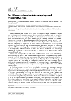 Sex differences in redox state, autophagy and lysosomal function