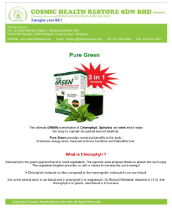Benefits of Chlorophyll
