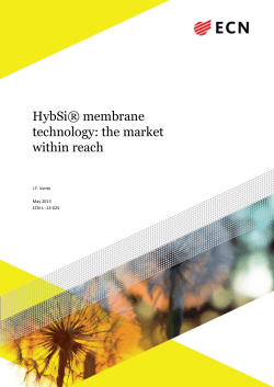 HybSi&reg; membrane technology: the market within reach