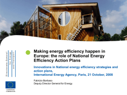 Making energy efficiency happen in Europe: The Role of National