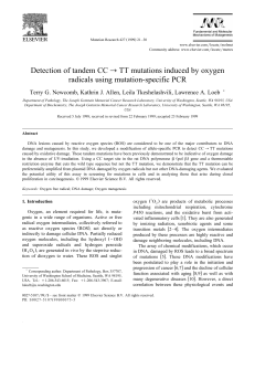 Detection of tandem CC&trade;TT mutations induced by oxygen radicals