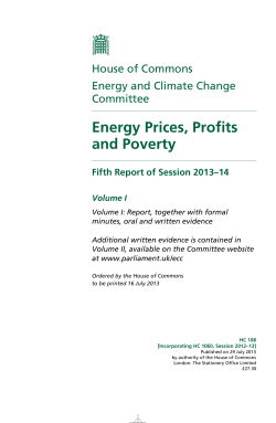 Energy Prices, Profits and Poverty