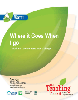 Step 7: Disinfected Waste Water is Discharged to