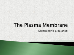 7.2 * The Plasma Membrane