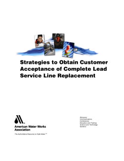 Strategies to Obtain Customer Acceptance of Complete Lead