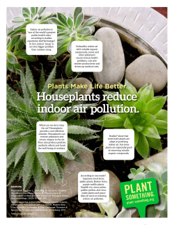 Houseplants reduce indoor air pollution.
