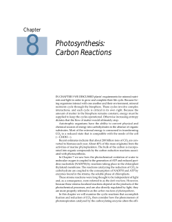 Photosynthesis: Carbon Reactions