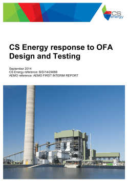 CS Energy Submission