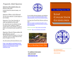 Leaf Collection Brochurelink.pub