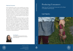 Producing Consumers - Stockholm School of Economics