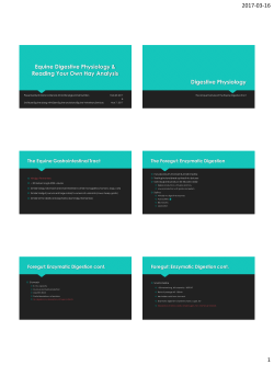 Lecture - Swiftsure Equine