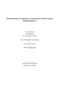 Biochemistry of phenolic compounds in wheat grain (Triticum
