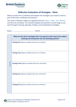 Silver Award &ndash; Reflective Strategies Evaluation