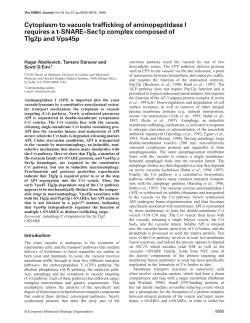 Cytoplasm to vacuole trafficking of aminopeptidase I requires a