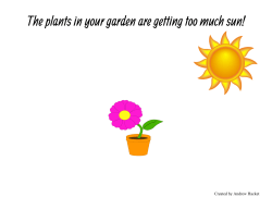 The plants in your garden are getting too much sun!