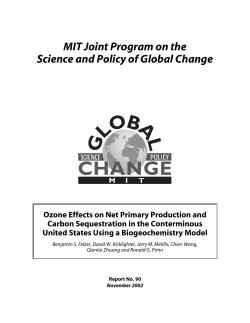 Ozone Effects on Net Primary Production and Carbon Sequestration