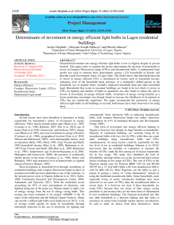 Determinants of investment in energy efficient light bulbs in Lagos