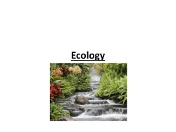 Ecology - papbiobellaire