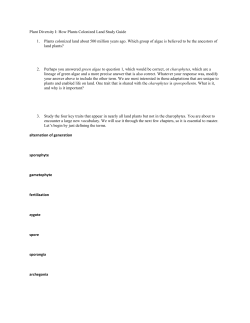 Plant Diversity I: How Plants Colonized Land Study Guide Plants