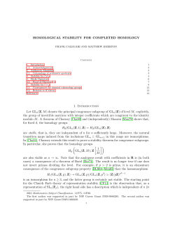 HOMOLOGICAL STABILITY FOR COMPLETED HOMOLOGY 1