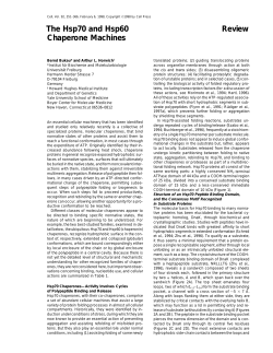 The Hsp70 and Hsp60 Review Chaperone Machines