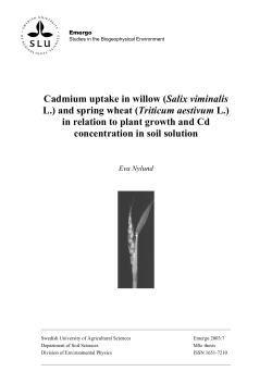 Cadmium uptake in willow - Food and Agriculture Organization of