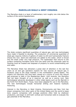 MARCELLUS SHALE in WEST VIRGINIA