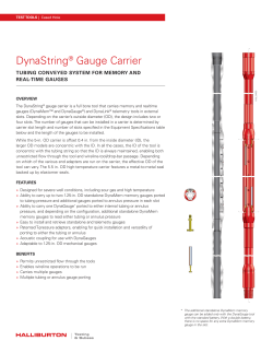 DynaString&reg; Gauge Carrier