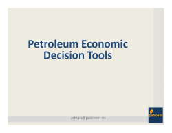 Petroleum Economic Decision Tools