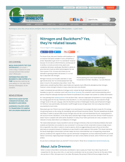Nitrogen and Buckthorn? Yes, they`re related issues.